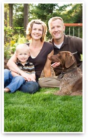 accent-family